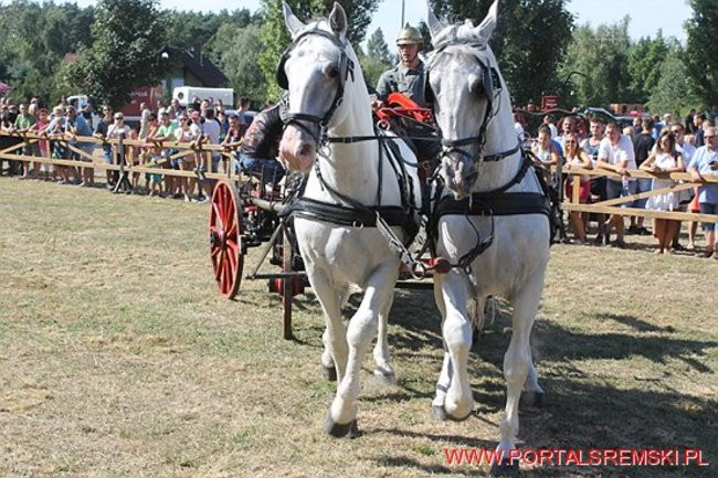 Niezwykłe sikawki w Cichowie