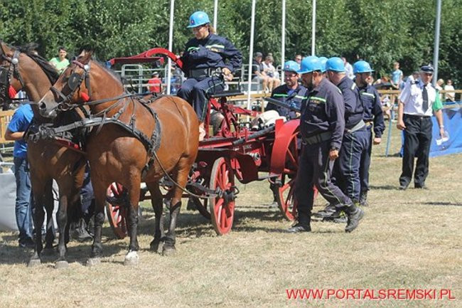 Niezwykłe sikawki w Cichowie