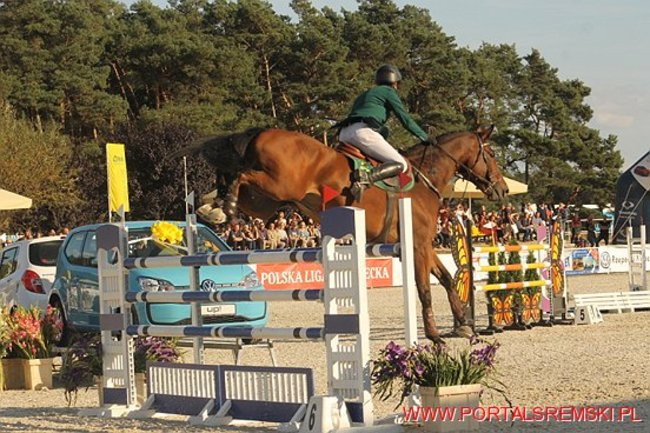 Dawid Skiba najlepszy