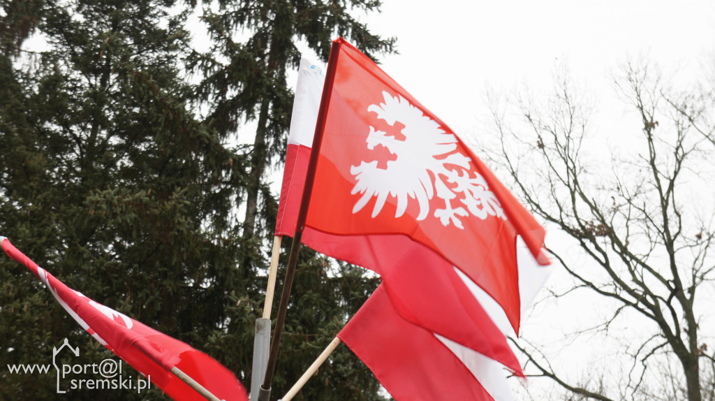 Powstanie Wielkopolskie. Obchody