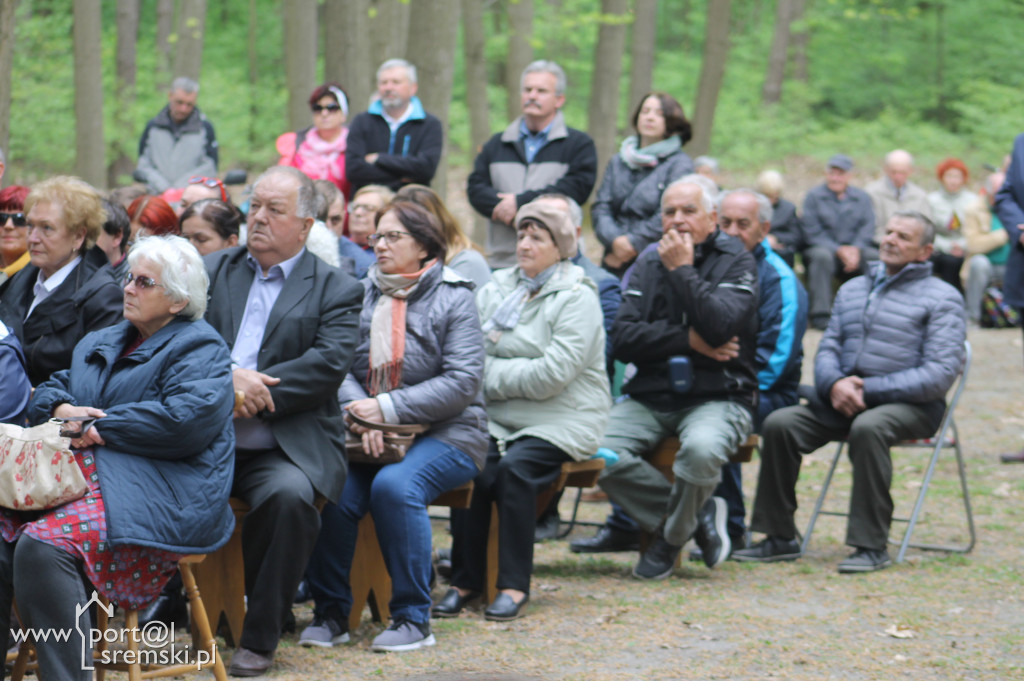 Rąbiń 2019