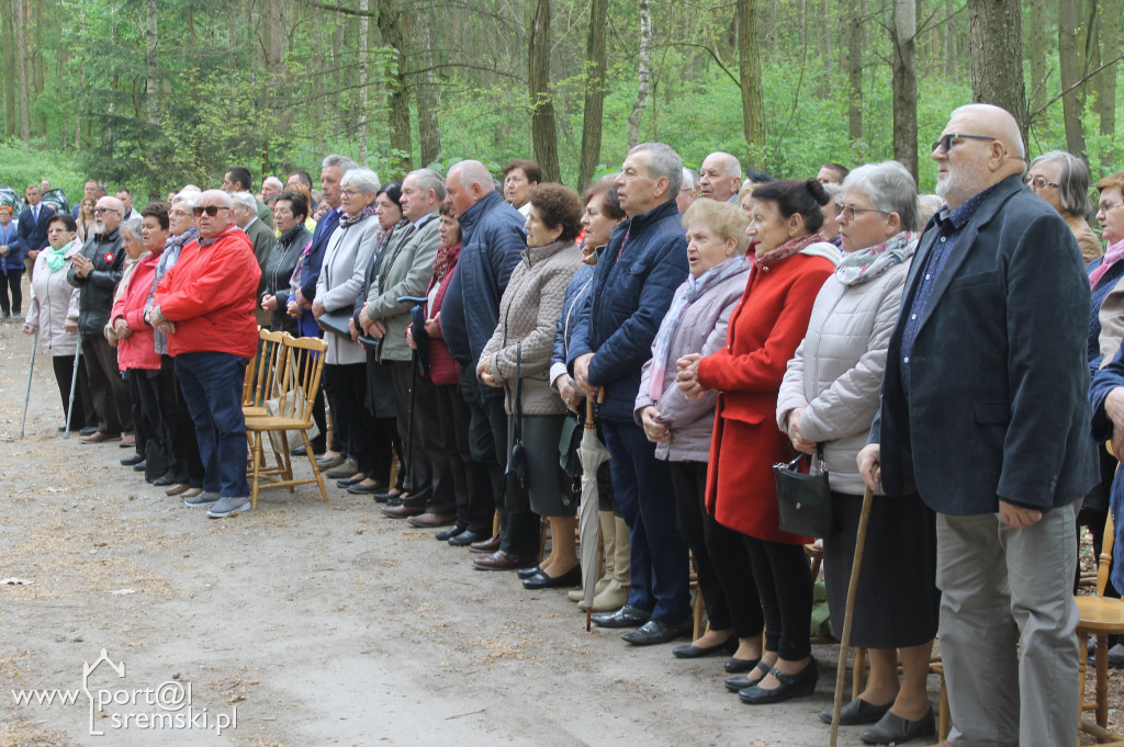 Rąbiń 2019