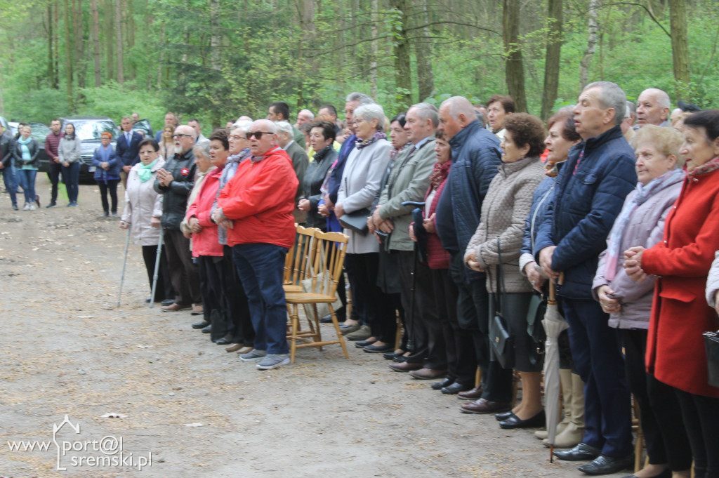 Rąbiń 2019