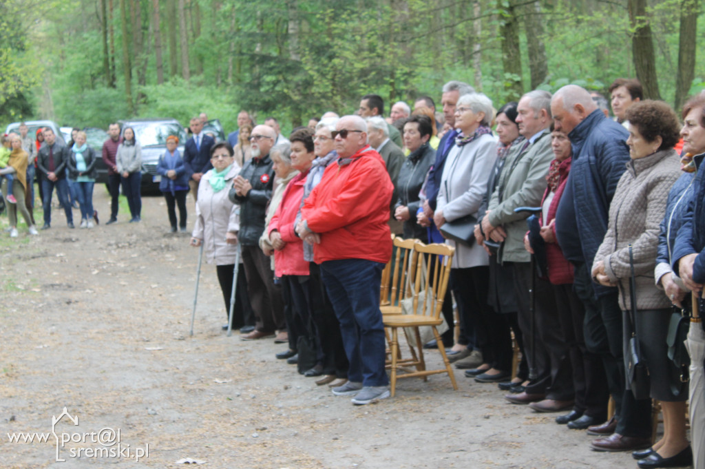 Rąbiń 2019