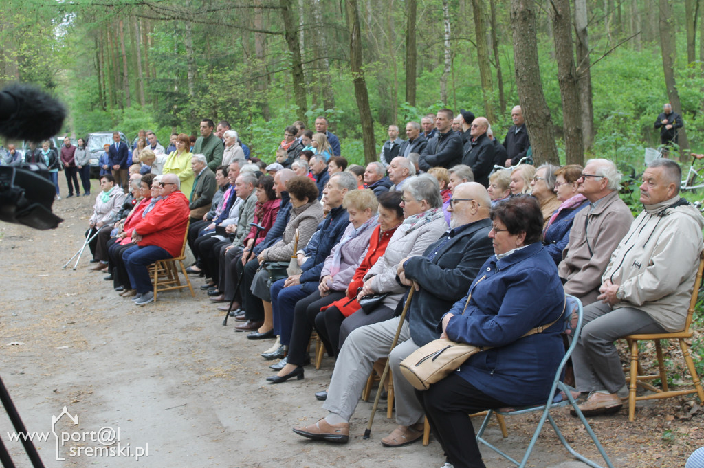 Rąbiń 2019