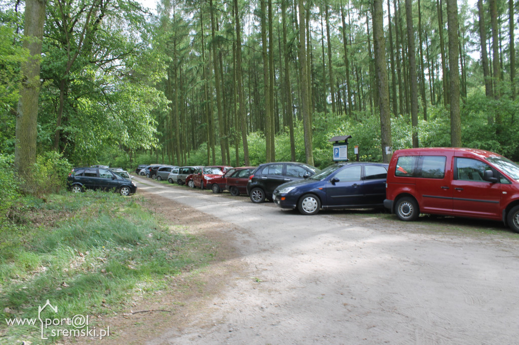 Rąbiń 2019