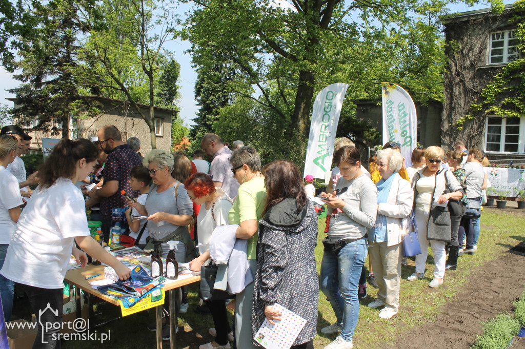 Ukwiecanie Ośrodka Kultury