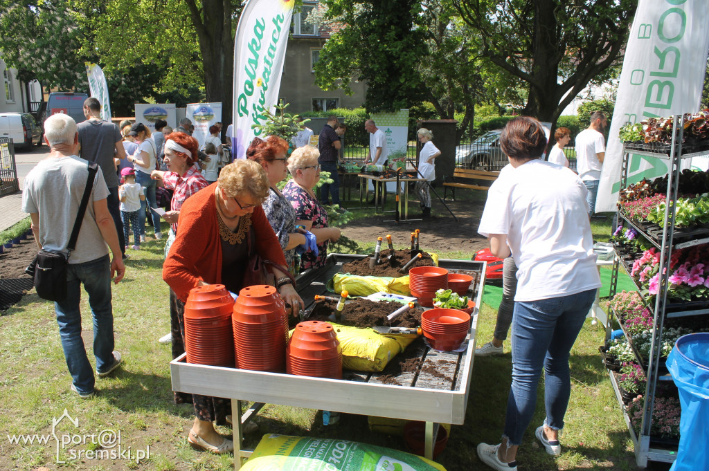 Ukwiecanie Ośrodka Kultury