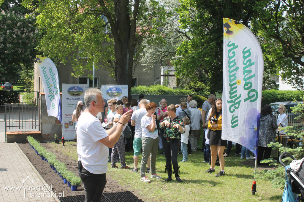 Ukwiecanie Ośrodka Kultury