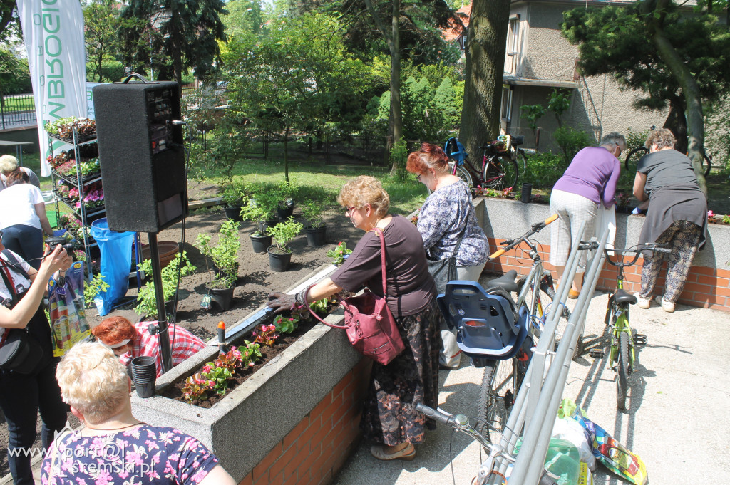 Ukwiecanie Ośrodka Kultury