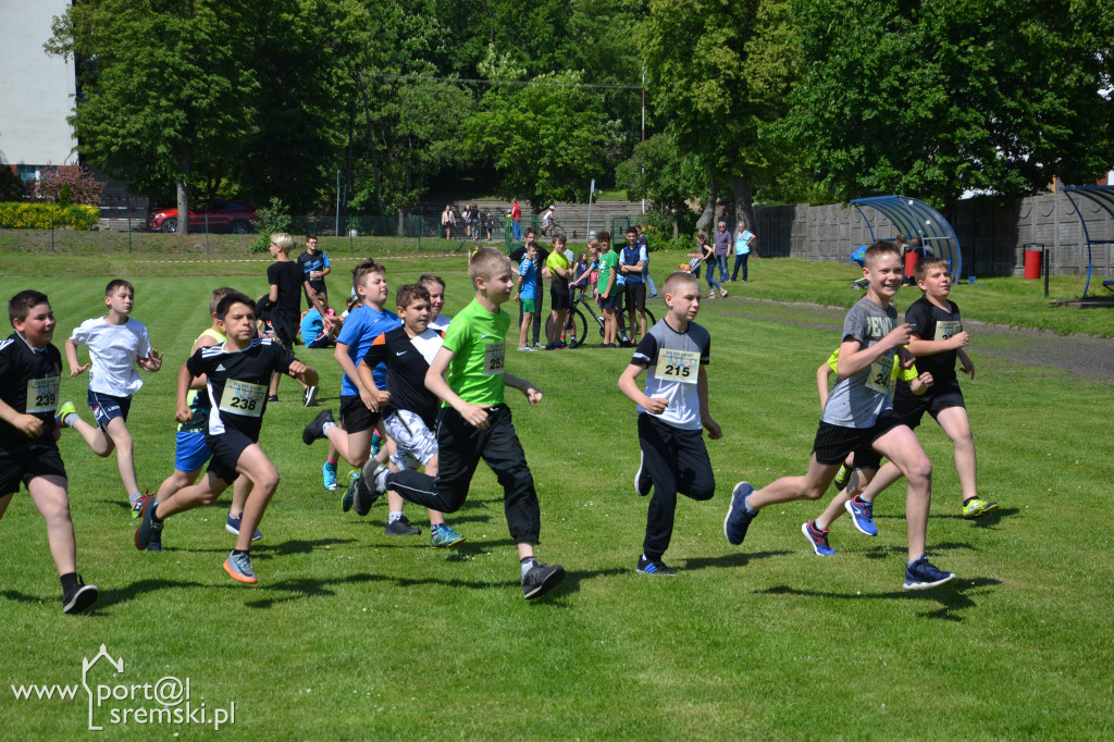 Maraton w Dolsku
