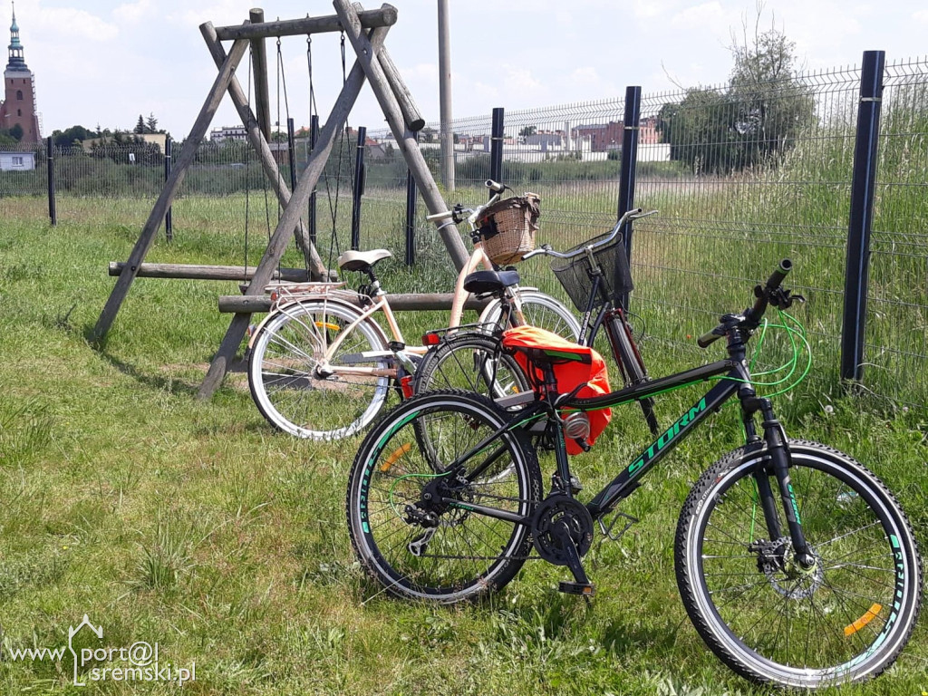 Szkolny piknik