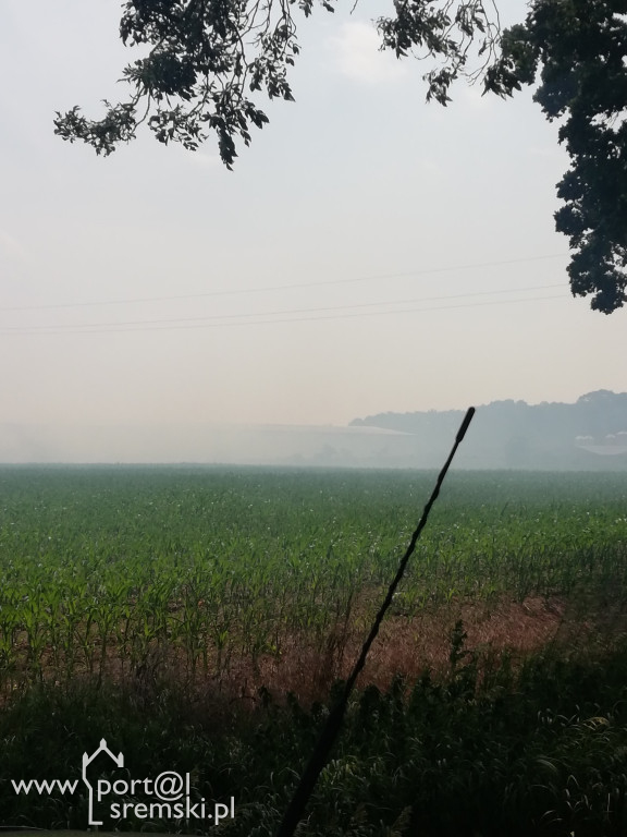 Pożar Szołdry