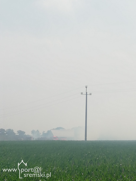 Pożar Szołdry