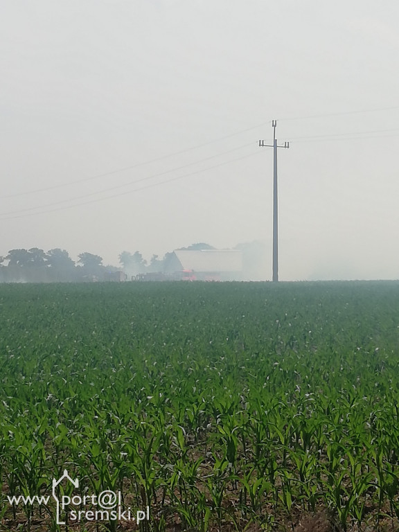 Pożar Szołdry