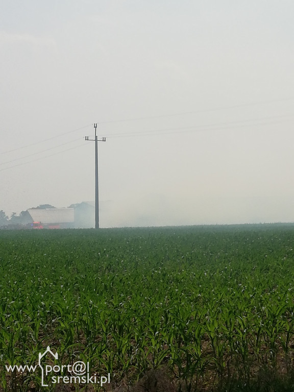 Pożar Szołdry