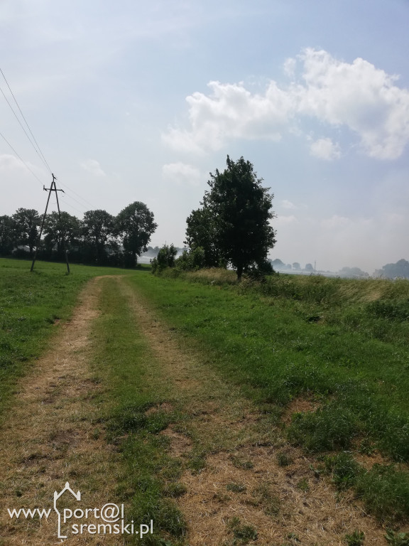 Pożar Szołdry