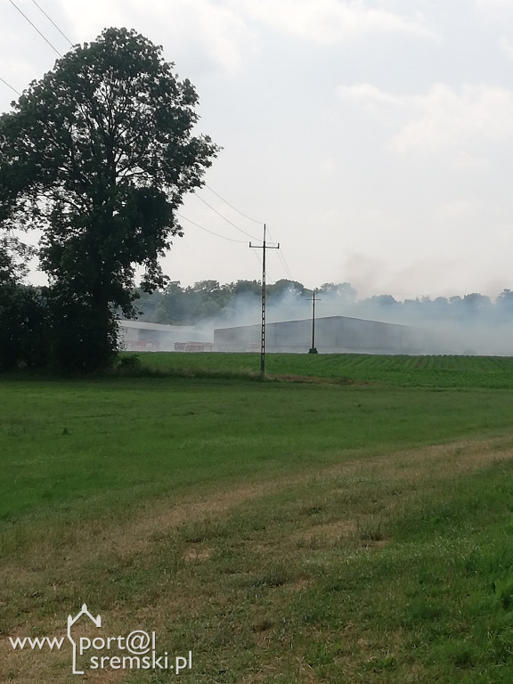 Pożar Szołdry