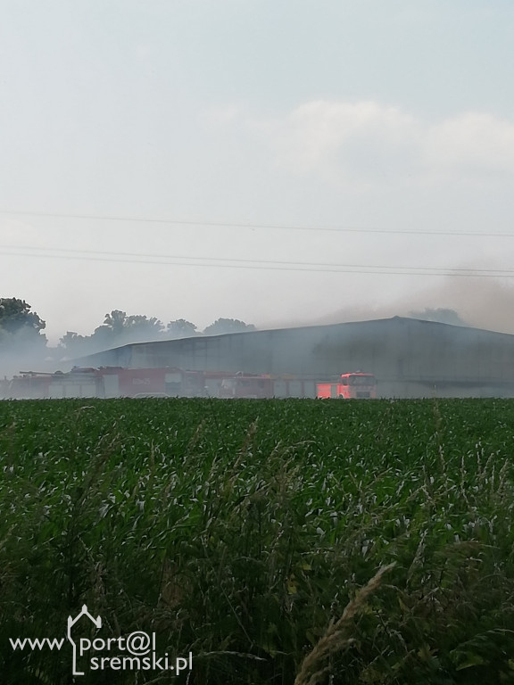 Pożar Szołdry