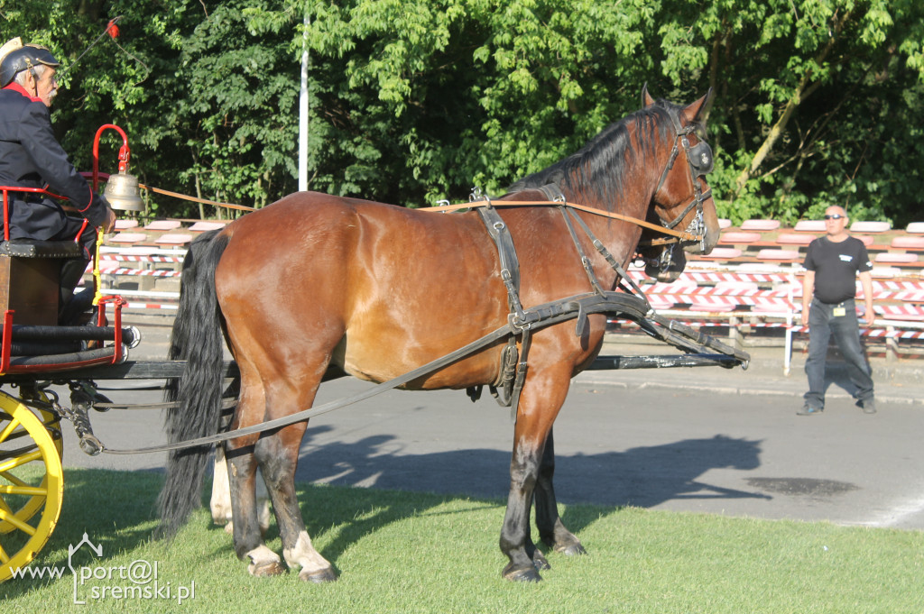 Dni Śremu - 2.dzień