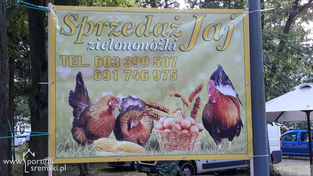 agrowakacje