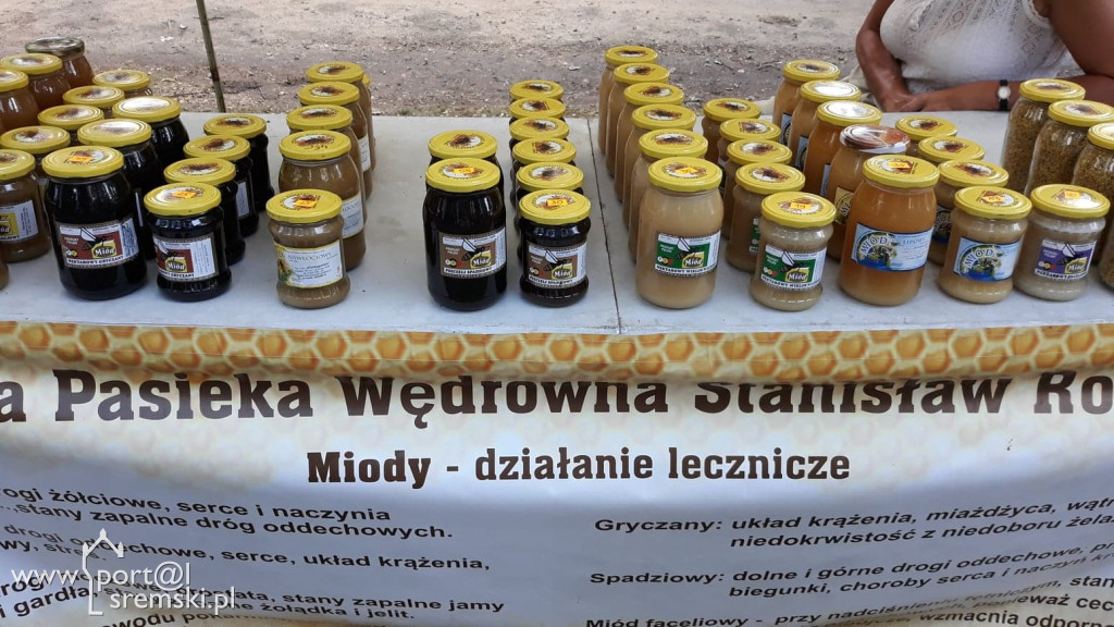 agrowakacje