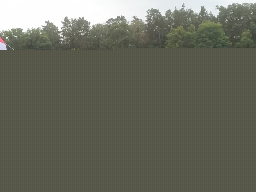 Biegali w Śremie