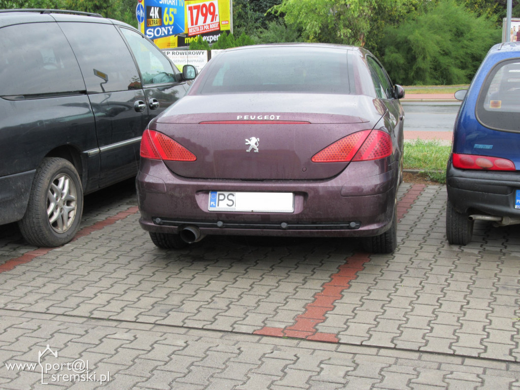 Mistrzowie parkowania