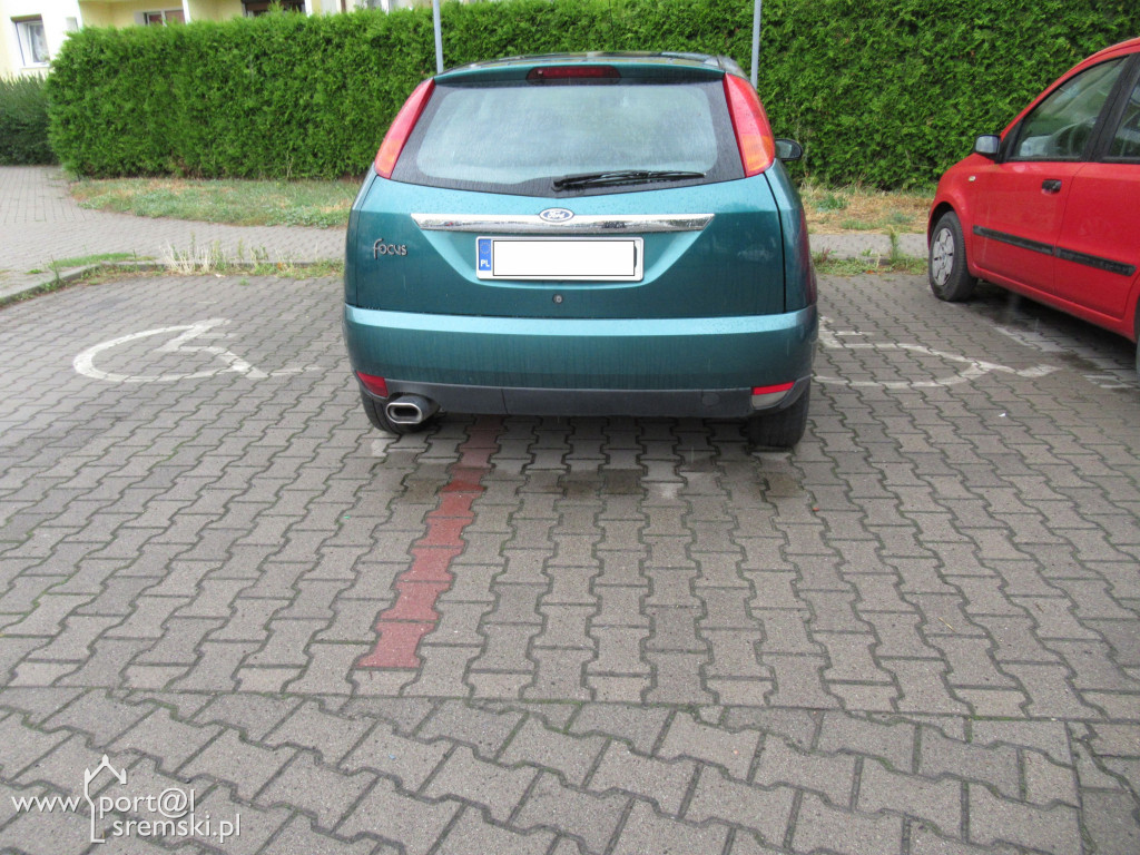 Mistrzowie parkowania
