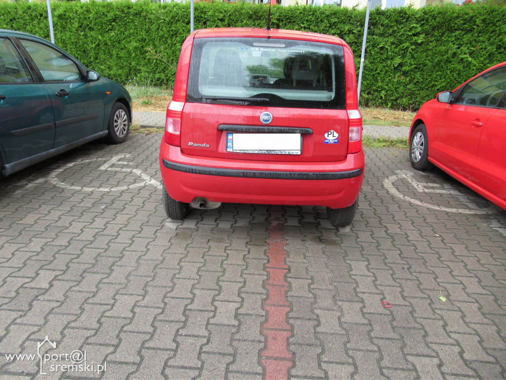 Mistrzowie parkowania