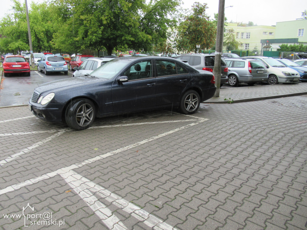Mistrzowie parkowania