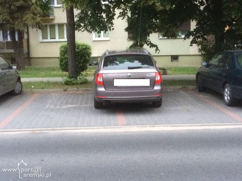 Mistrzowie parkowania