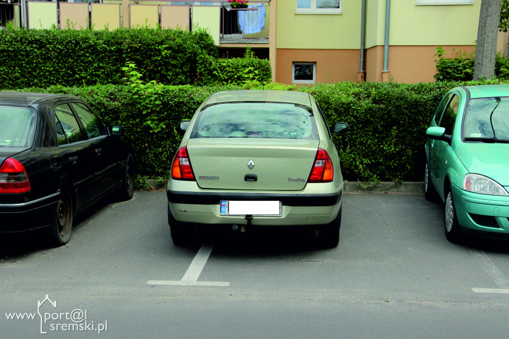 Mistrzowie parkowania