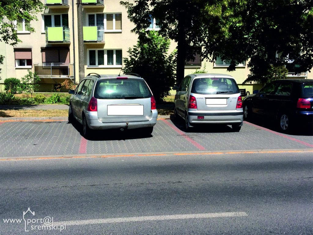 Mistrzowie parkowania