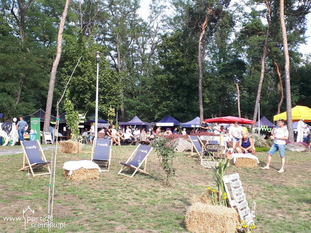 Dożynki w Książu Wlkp.
