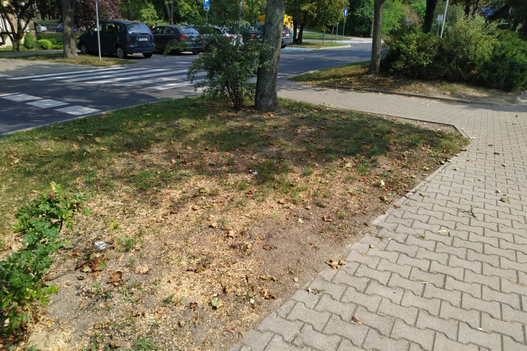 Zaginęła ławka