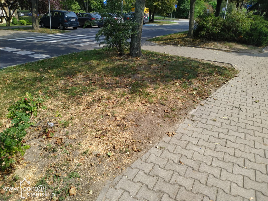 Zaginęła ławka