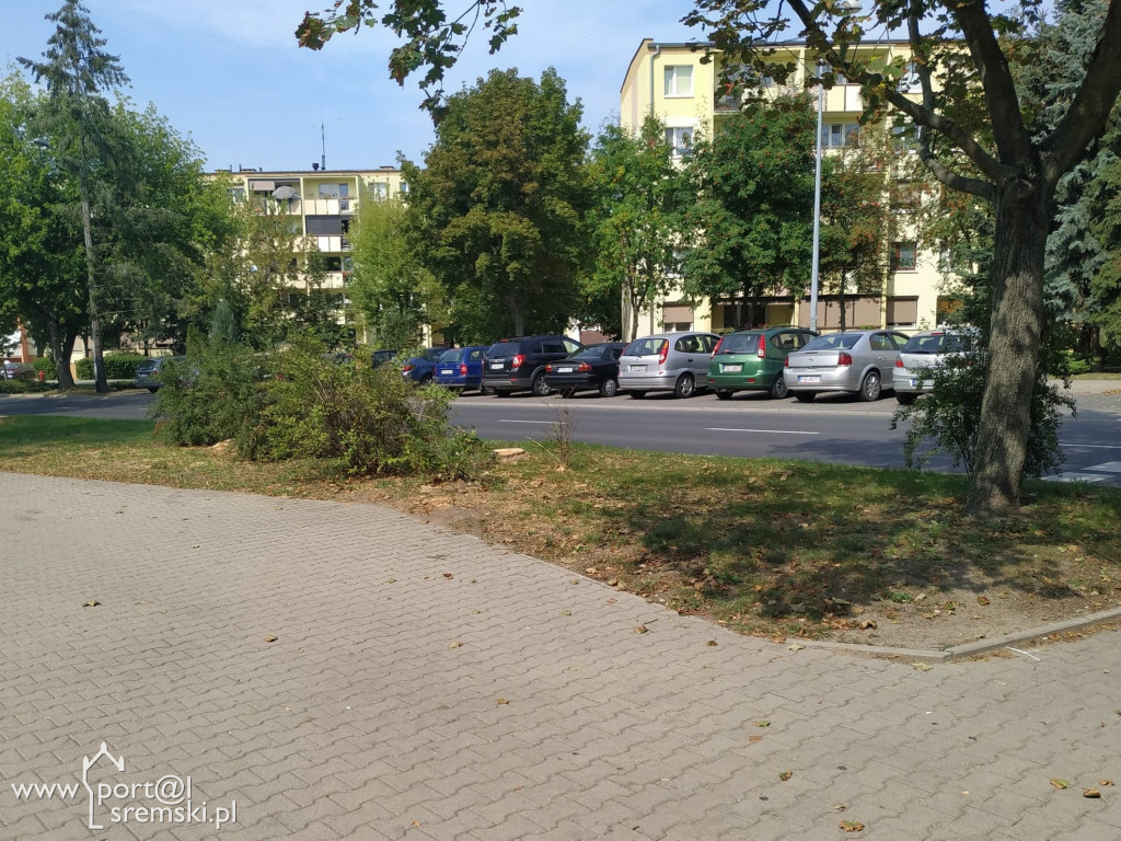 Zaginęła ławka