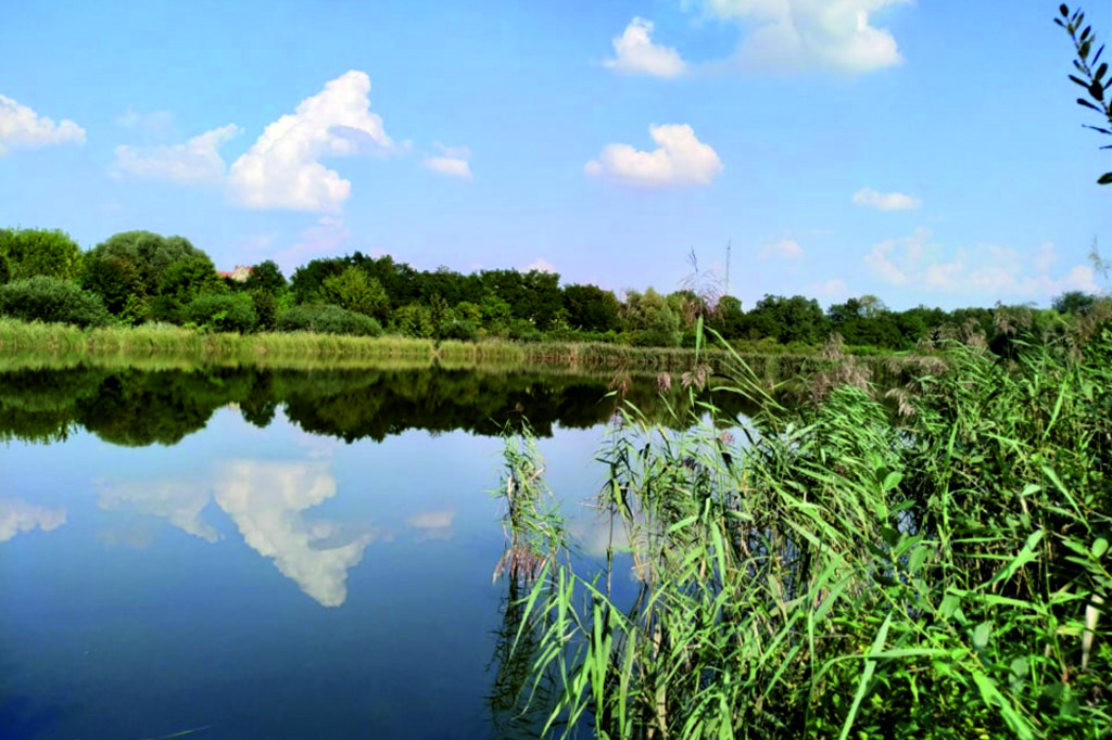 Park Puchalskiego