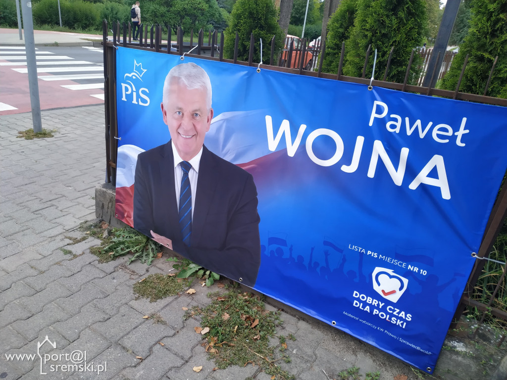 Wybory 2019