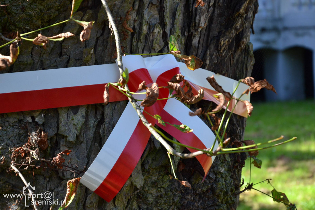 Brodnica