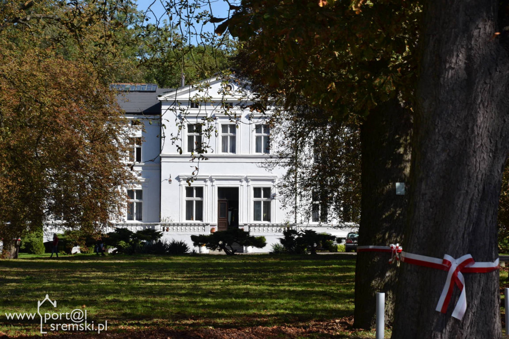 Brodnica