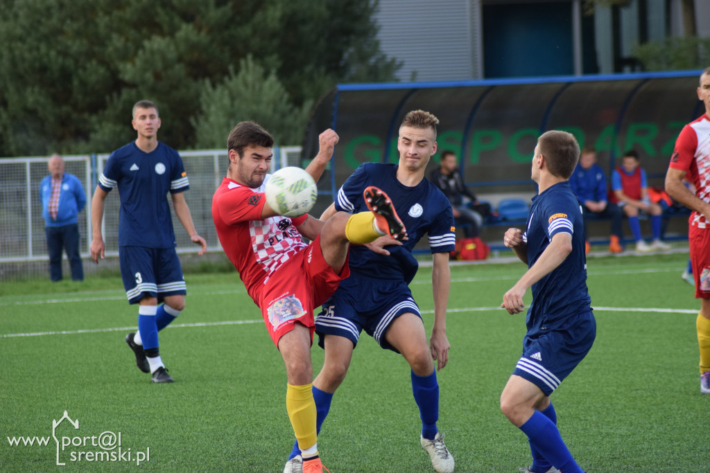 Warta Meblorz