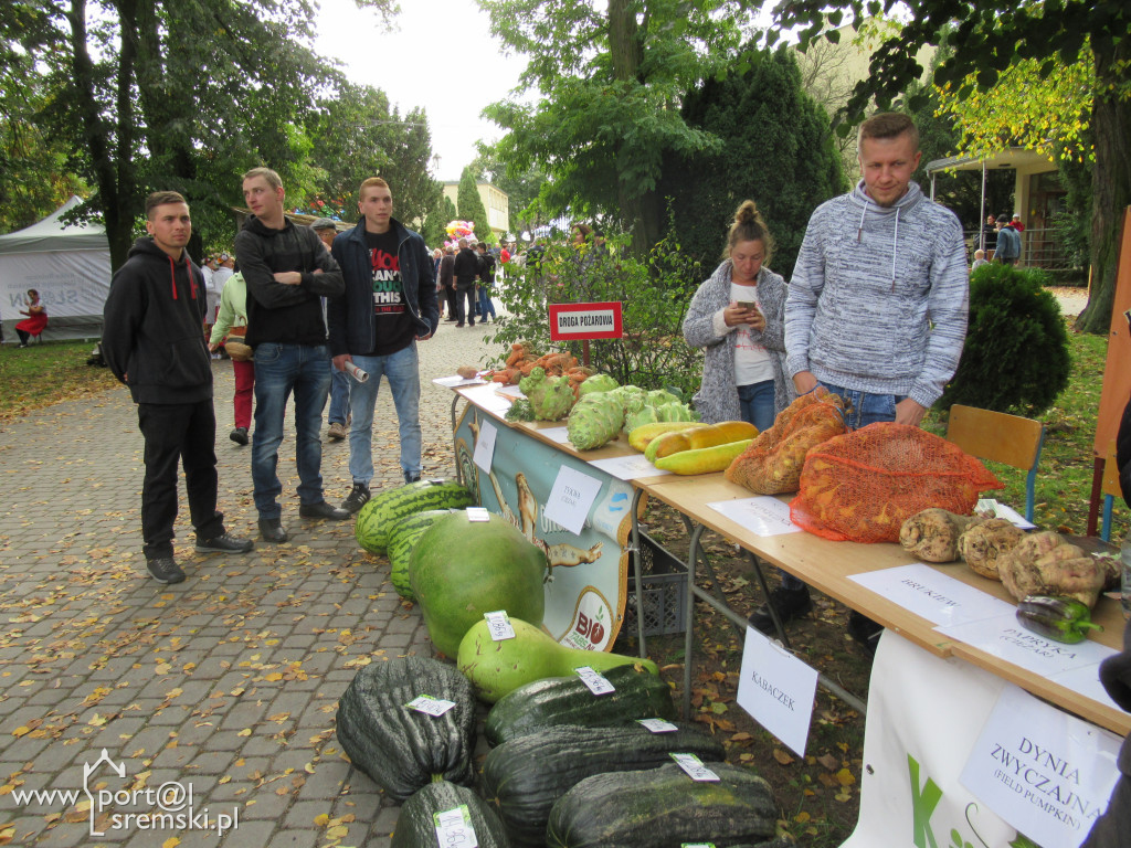 Dzień Korbola