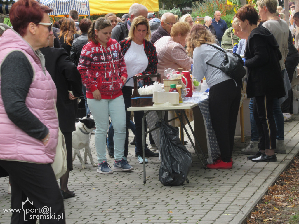 Dzień Korbola