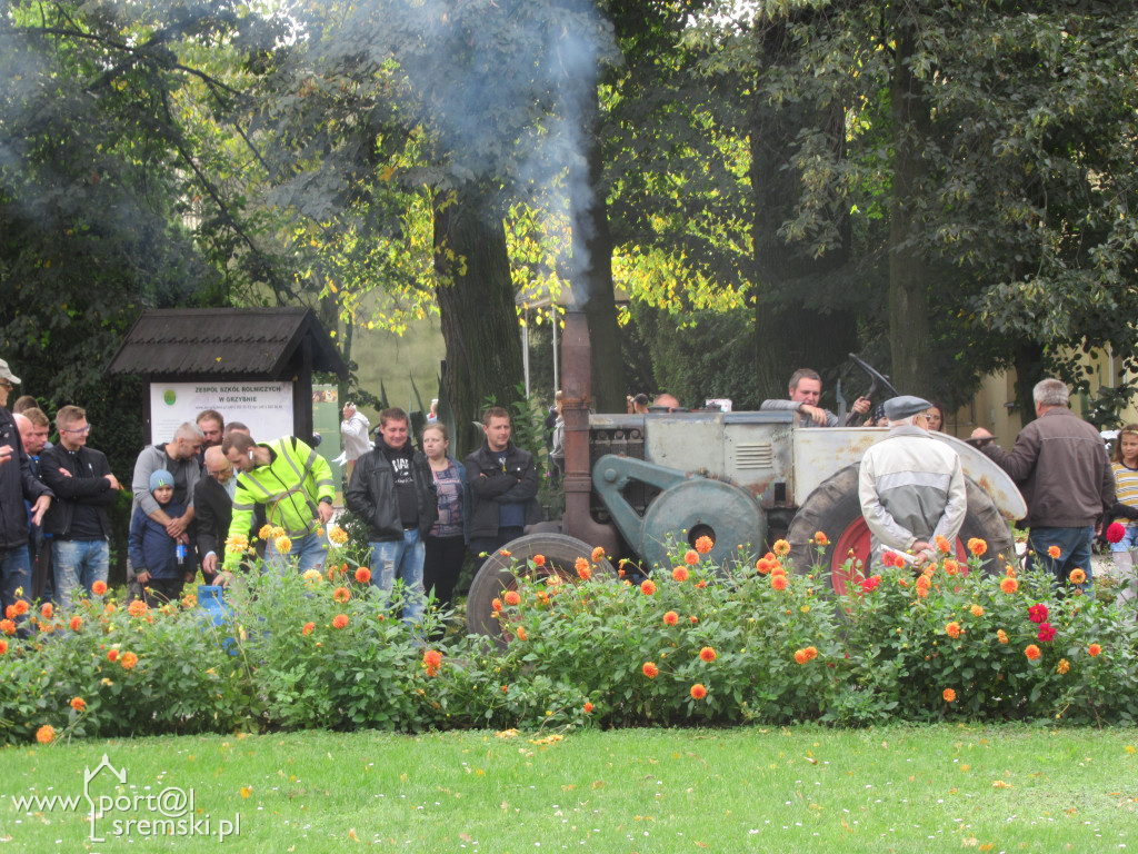 Dzień Korbola