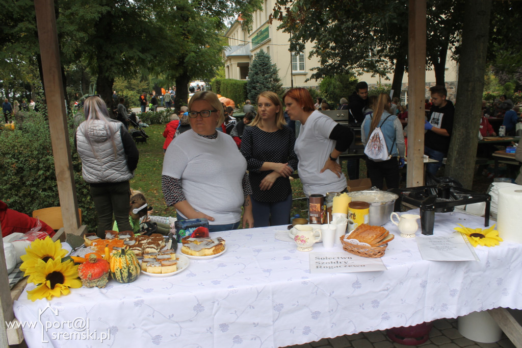 Dzień Korbola