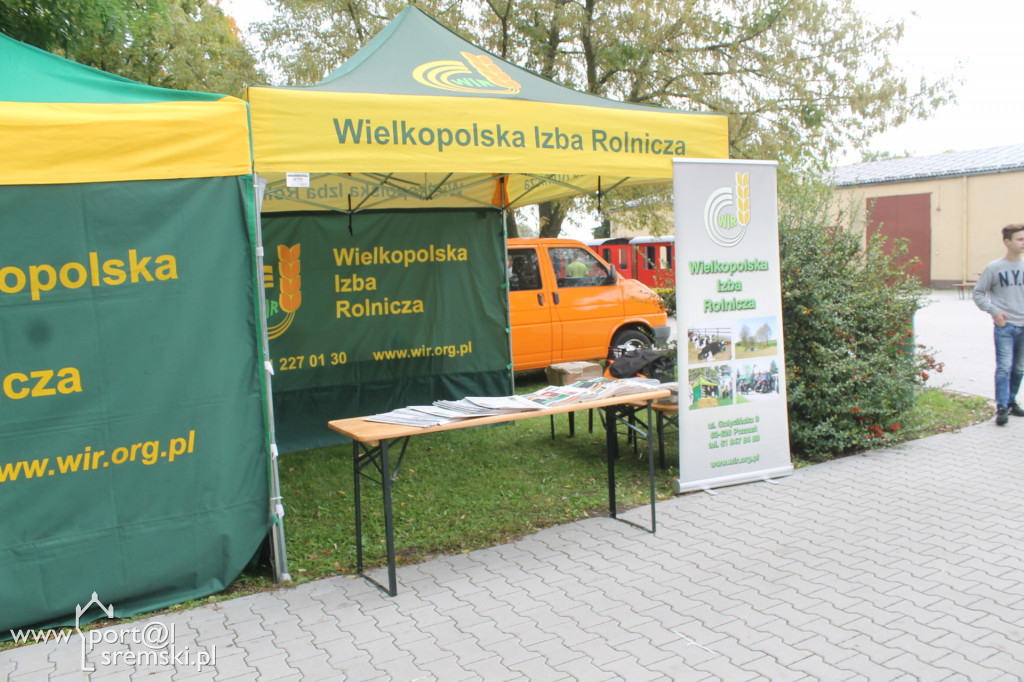 Dzień Korbola