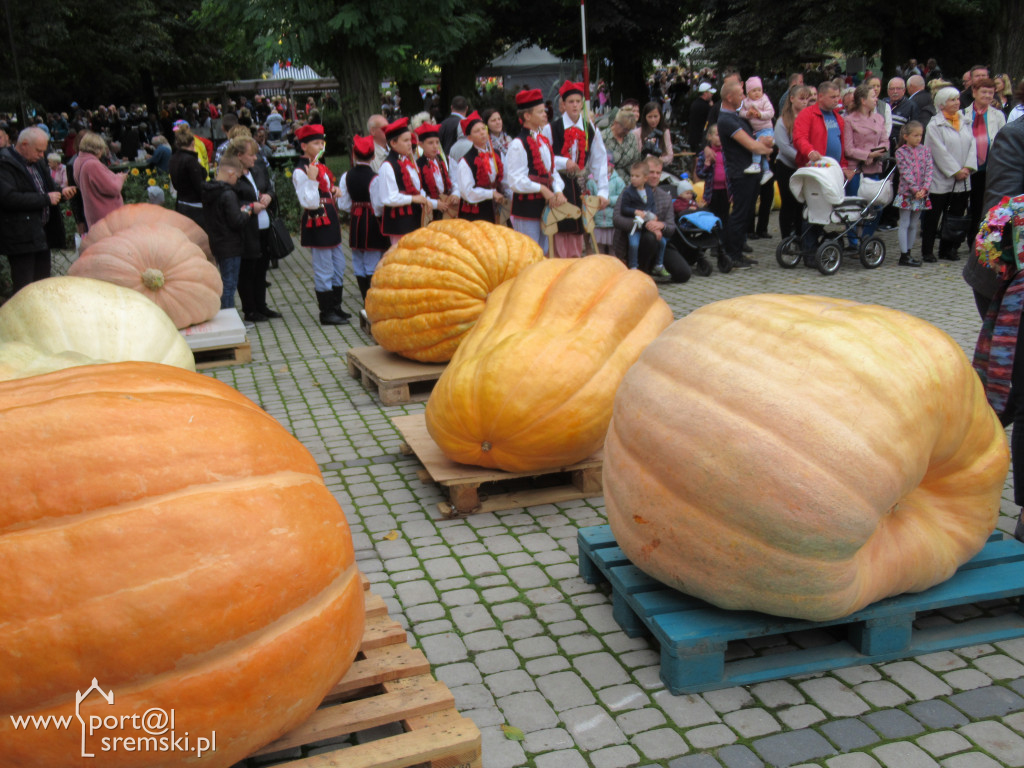 Dzień Korbola