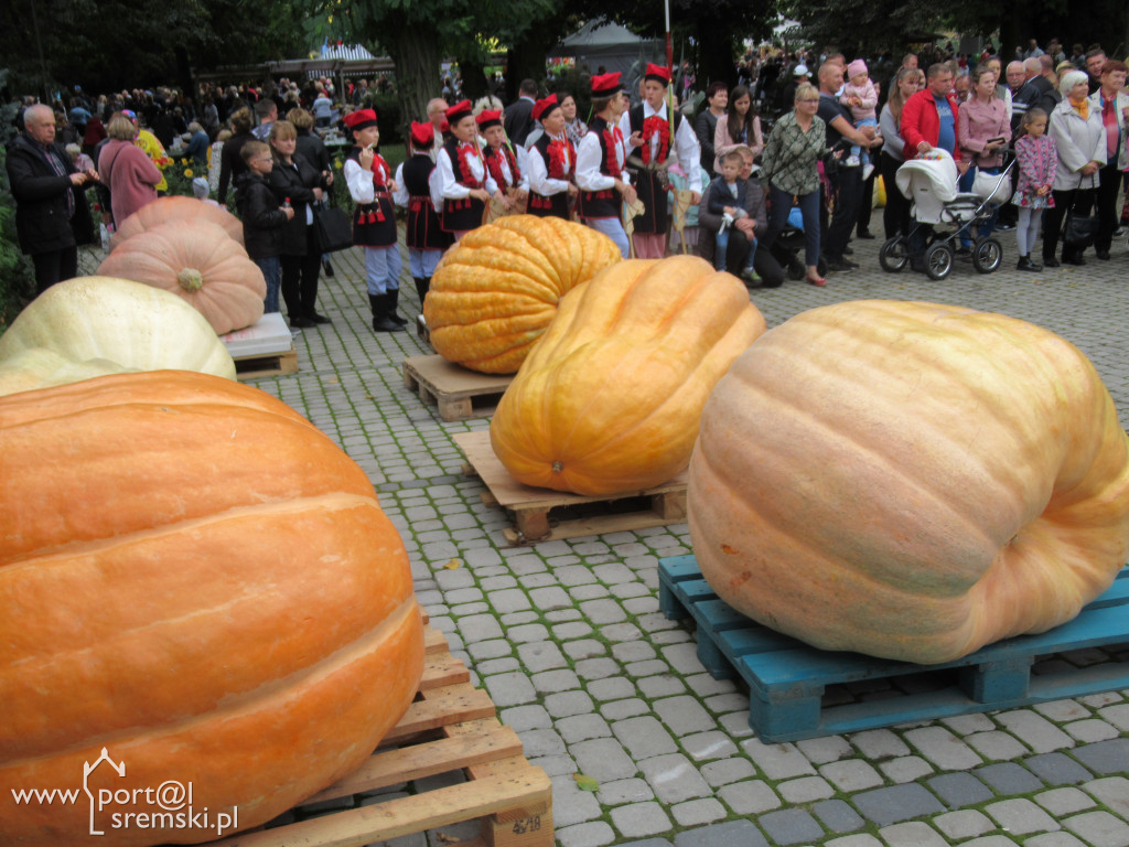 Dzień Korbola